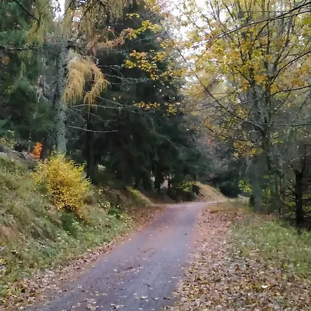 Location Saisonniere 10 Places, Belle Exposition, Vue Foret Et Montagne Ferienhaus *