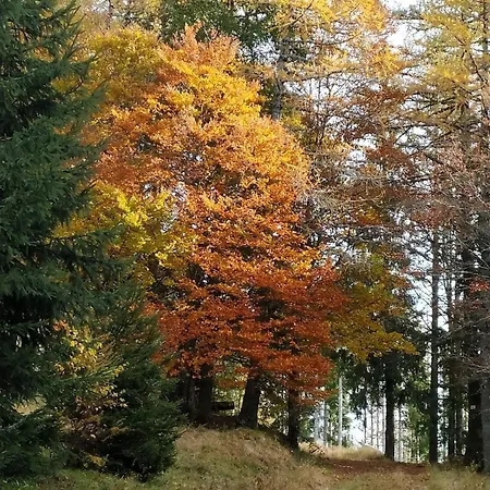 Ferienhaus Location Saisonniere 10 Places, Belle Exposition, Vue Foret Et Montagne Ventron