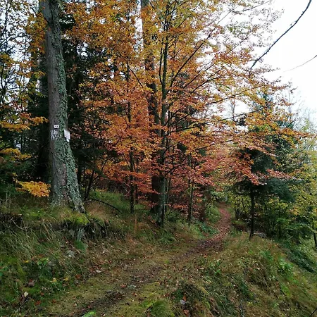 Ferienhaus Location Saisonniere 10 Places, Belle Exposition, Vue Foret Et Montagne *