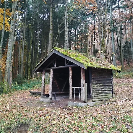 Location Saisonniere 10 Places, Belle Exposition, Vue Foret Et Montagne *