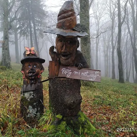 Ferienhaus Location Saisonniere 10 Places, Belle Exposition, Vue Foret Et Montagne Ventron