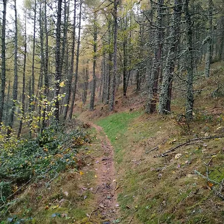 Location Saisonniere 10 Places, Belle Exposition, Vue Foret Et Montagne *