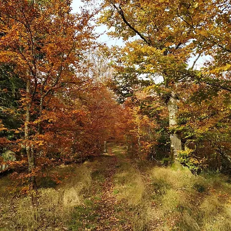 Location Saisonniere 10 Places, Belle Exposition, Vue Foret Et Montagne